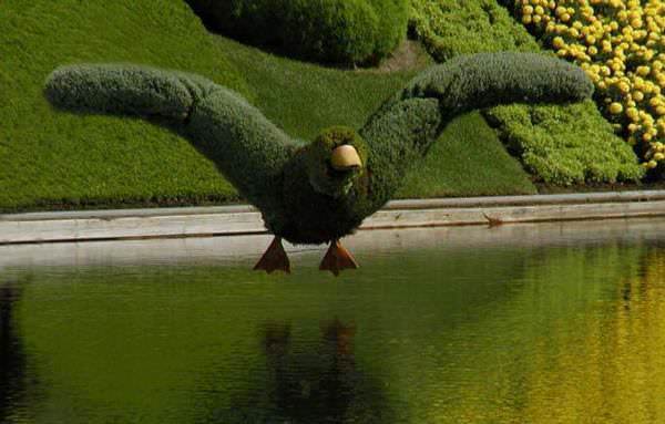 Grass sculptures duck
