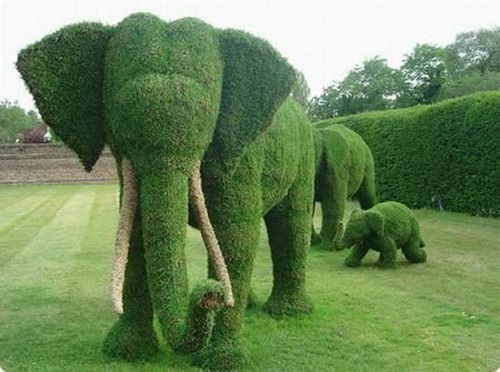 Grass sculptures elephant