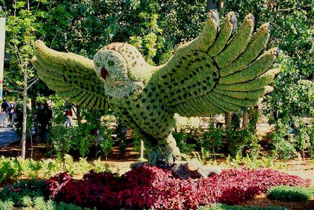 Grass sculptures owl