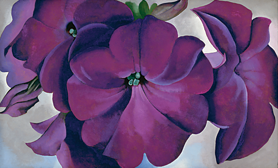 Petunias, 1925